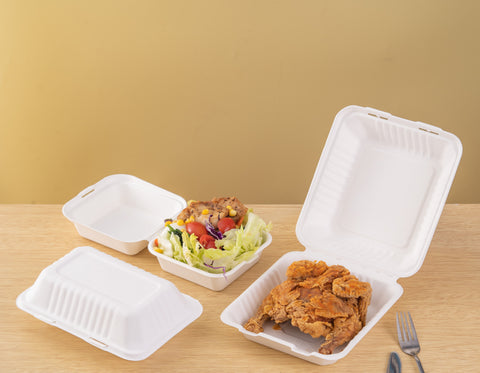 A Comprehensive Review: Compostable Sugarcane Bagasse Take-Out Box